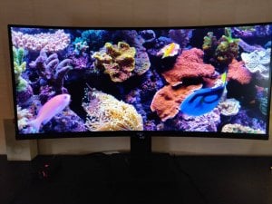 IMG_20181228_132512.jpeg