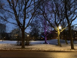 97551361-5206-4DF1-BD13-058F647EA7B8.jpeg