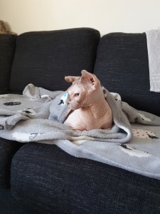 20181230_105801.jpg