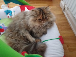 20181230_110716.jpg