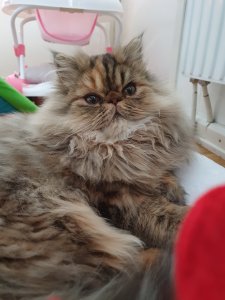 20181230_110815.jpg
