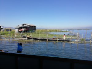 IMG_1545631412531.jpg