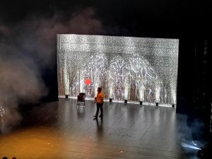 IMG_20181229_131816.jpg