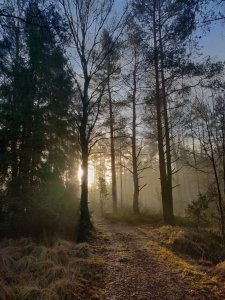 IMG_20181230_110110.jpeg