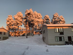 IMG_0265.jpg