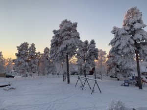 IMG_0266.jpg