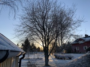 IMG_0088.jpg