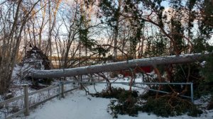 IMG_20190103_125233.jpeg