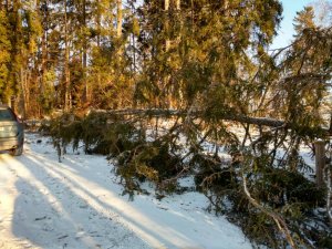 IMG_20190103_124828450_HDR.jpeg