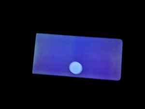 IMG_20190104_190403.jpg