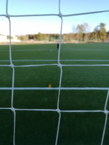 IMG_20190105_130806.jpeg