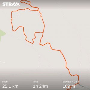 strava5561005513932328836.jpg
