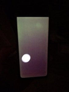 IMG_00511.jpg