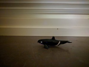 IMG_20190117_054808.jpg