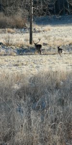 IMG_20190118_122610.jpg