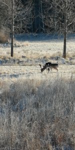 IMG_20190118_122554.jpg