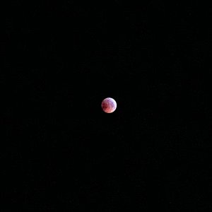 moon.jpg