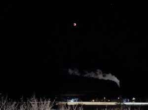 moon2.jpg
