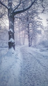 DSC_0137-01.jpeg