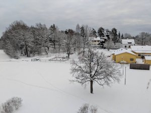 IMG_20190126_125713.jpeg