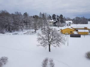20190126_125732.jpeg