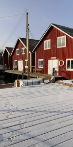 IMG_20190126_114944.jpg