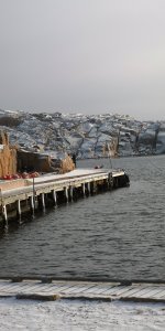 IMG_20190126_115431.jpg