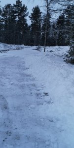 IMG_20190128_085913.jpg