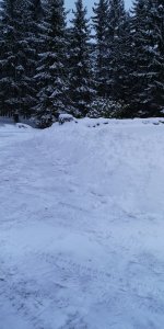 IMG_20190128_085845.jpg