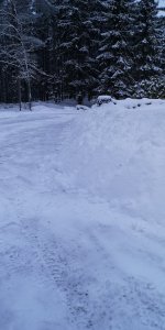 IMG_20190128_085829.jpg