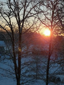 IMG_20190129_084156.jpg