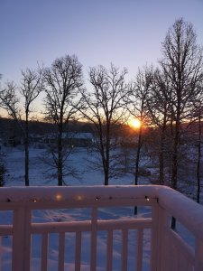 IMG_20190129_084150.jpg