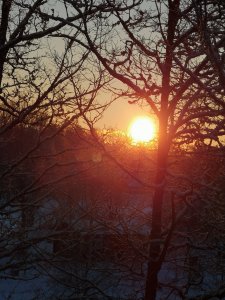 IMG_20190129_084201.jpg
