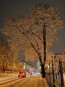 IMG_20190128_175550.jpg