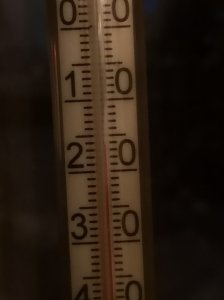 IMG_20190130_064839.jpg