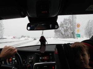 IMG_20190130_101957700.jpg