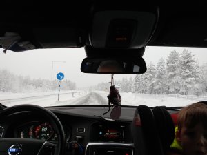 IMG_20190130_112143160.jpg
