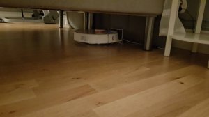 20190131_043047.jpeg