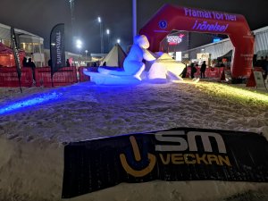 IMG_20190131_183211.jpg