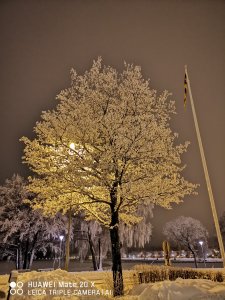 IMG_20190130_053411.jpg