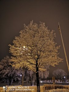 IMG_20190130_053402.jpg