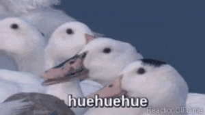 Ln3IODBeMZZ84.gif