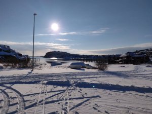 IMG_20190203_131852.jpeg