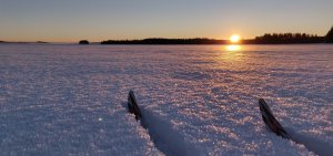 IMG_20181230_102134.jpg