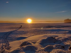 IMG_20181228_135939.jpg