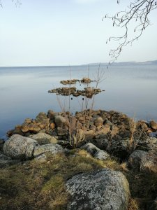 IMG_20190215_124654.jpg