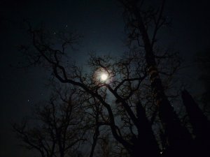 AFAAE072-FC0D-4E11-B060-AE8C1C26CE2F.jpeg
