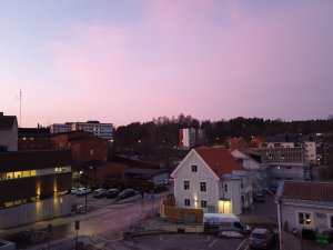 20190215_171812.jpg