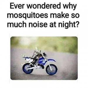 6B1025CC-4D9B-41F8-850F-1DE818A13FFF.jpeg