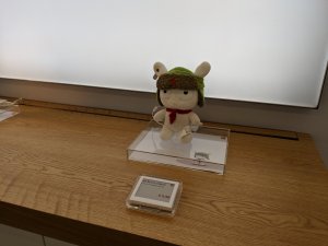 IMG_20190219_152050.jpg